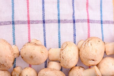 Beyaz mantar petrol yalan üzerine ekose bir havlu, metin için yer