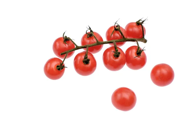 Tomates rojos cereza aislados sobre fondo blanco — Foto de Stock