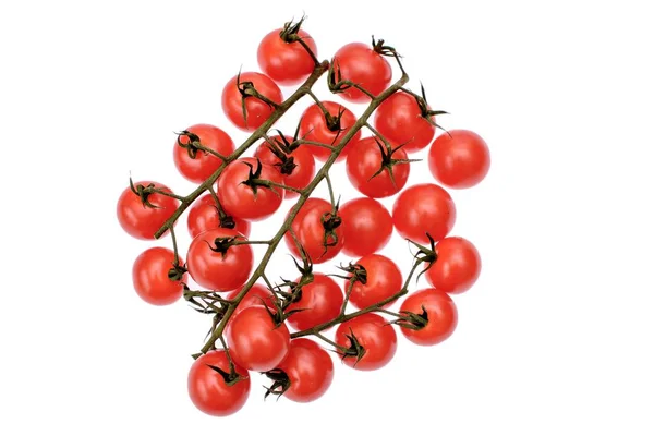 Tomates rojos cereza aislados sobre fondo blanco —  Fotos de Stock