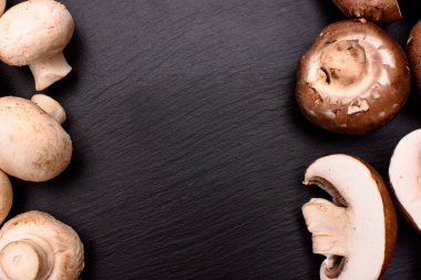 Gri ve beyaz petrol bütün mantar ve yalan bir taş siyah barut, arka plan dilimlenmiş