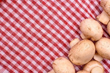 Beyaz mantar petrol yalan üzerine kırmızı bir havlu, metin, arka plan için yer