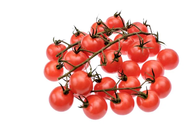 Tomates cereja vermelho isolado no fundo branco — Fotografia de Stock