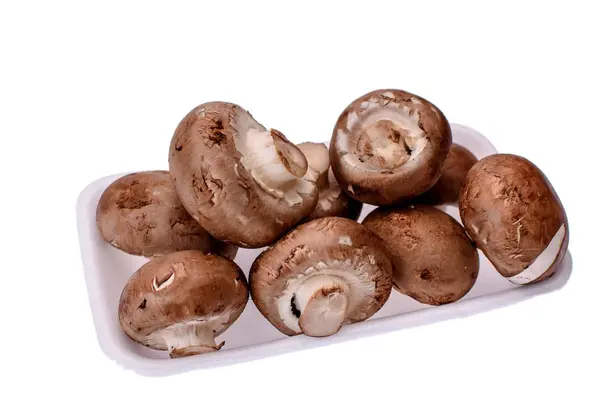 Champignons liegen auf einem weißen Tablett, isoliert auf weißem Hintergrund — Stockfoto