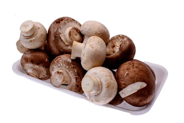 버섯 champignons 흰색 트레이, 흰색 배경에 고립에 거짓말 로열티 프리 스톡 사진