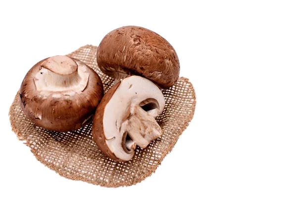 Gray mushrooms champignons lie in a wooden cup, isolated on a white background — Stock Photo, Image