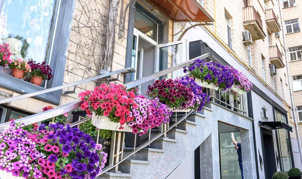 Les fleurs sont debout dans les escaliers de la rue — Photo
