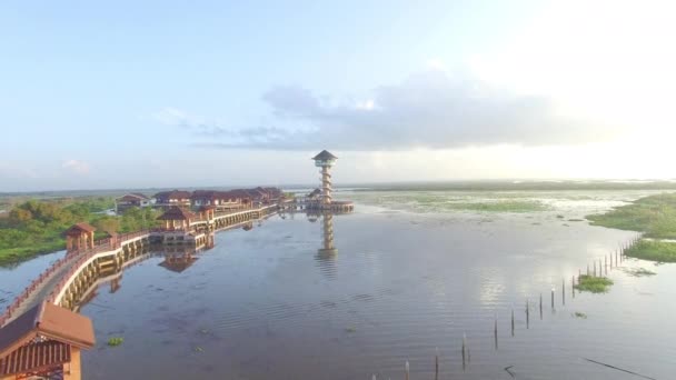 Vogelobservatie toren in moeras — Stockvideo