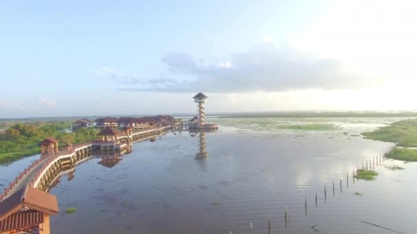 Torre de observação de aves no pântano — Vídeo de Stock