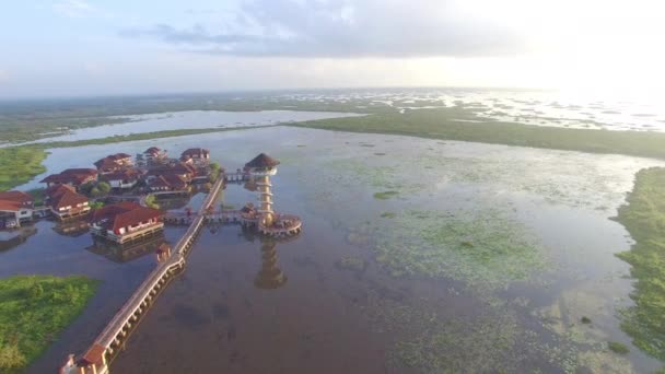 Torre de observación de aves en pantano — Vídeo de stock