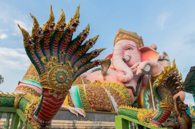 Sabahları pembe Ganesh