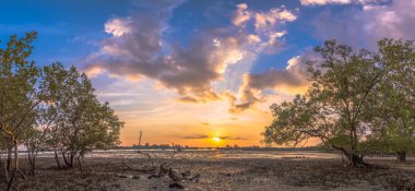 mangrov bataklık Sarasin köprü Phang Nga ilinde yakınındaki
