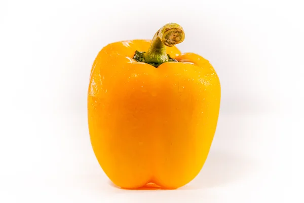 Klocka paprika på vit bakgrund — Stockfoto