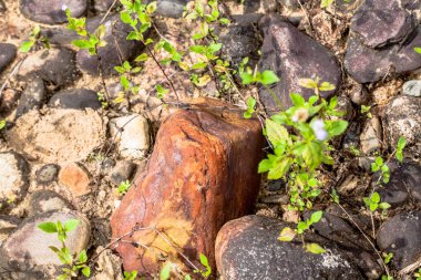 Havza içinde yuvarlak kaya