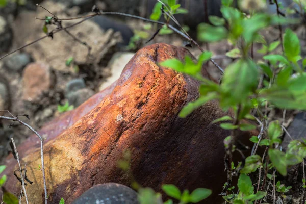 Havza içinde yuvarlak kaya