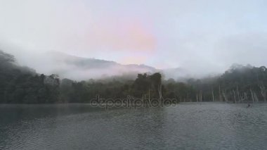 Teknede derin orman içinde gitmek