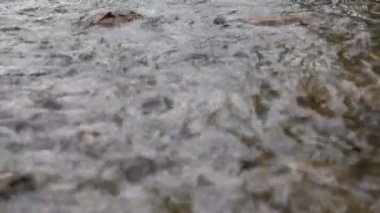 Baraj aşağı dağ akıştan su 