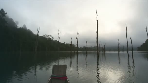 En el barco ir al interior del bosque profundo — Vídeo de stock