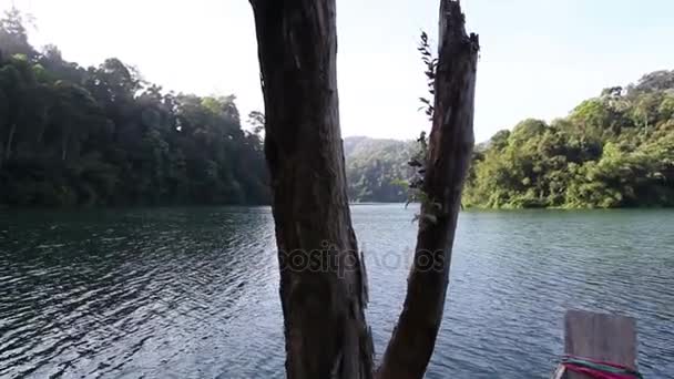 Auf dem Boot in den tiefen Wald — Stockvideo