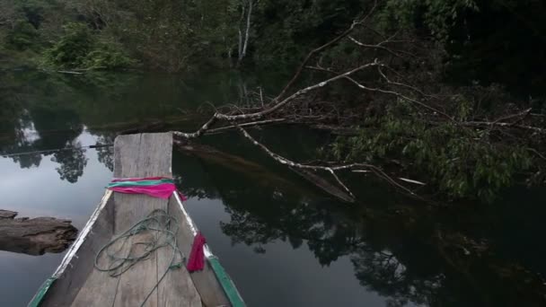 No barco ir para dentro da floresta profunda — Vídeo de Stock