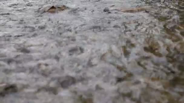 Acqua dal flusso della montagna fino alla diga — Video Stock