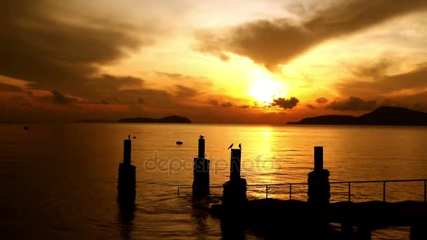 Sunrise on Rawai pier make sky in gold — Stock Video