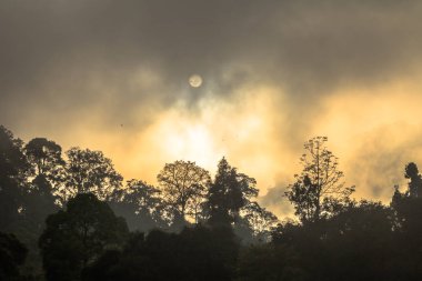 Altın gökyüzü Parlatıcı ama sis yüksek dağ 