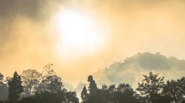 Altın gökyüzü Parlatıcı ama sis yüksek dağ 