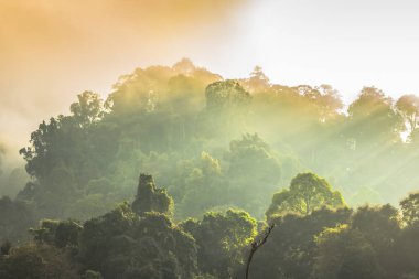 Altın gökyüzü Parlatıcı ama sis yüksek dağ 