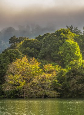 Yeşil ormanda Kho Sok Milli Parkı içinde Rajjaprabha Barajı .