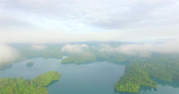 Fotografía aérea sobre el bosque perfecto dentro de la presa Rajjaprabha en el parque nacional Kho Sok . — Vídeos de Stock