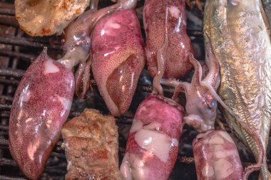 Barbekü squids ocakta