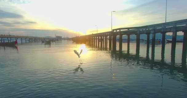 在查龙码头航拍有两座桥梁 — 图库视频影像