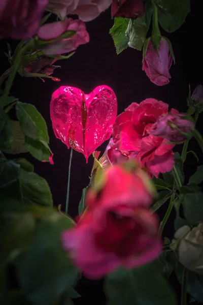 Coeur rose dans le jardin de la Saint Valentin — Photo