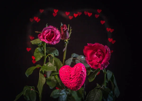 rose flowers in the heart background.