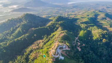 Orman siste tepenin üzerinde görmek