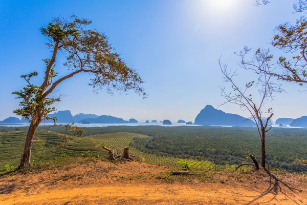 Licht durch die Bäume auf den Hügeln — Stockfoto