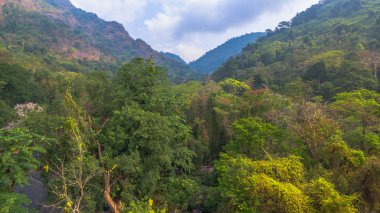 Dağlar ve doğal ormanlar 