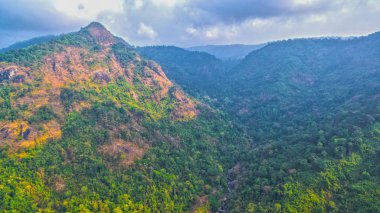 Dağlar ve doğal ormanlar 
