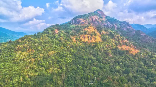 Montanhas e florestas naturais — Fotografia de Stock