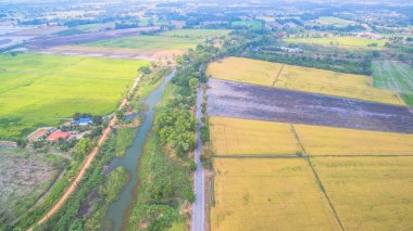 yetiştirilen pirinç için baraj kullan su