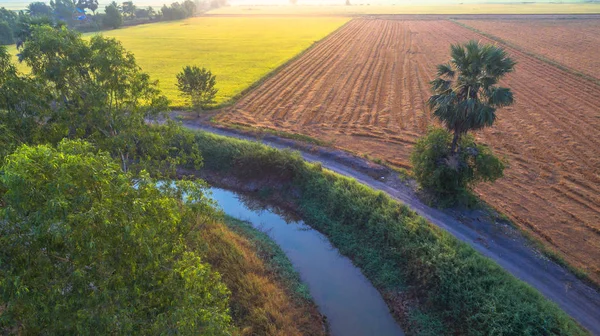 Вода в маленьком канале внутри рисовых полей — стоковое фото