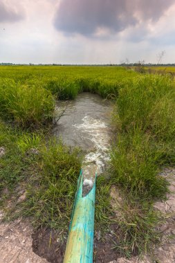  Kanal pirinç paddies pompa