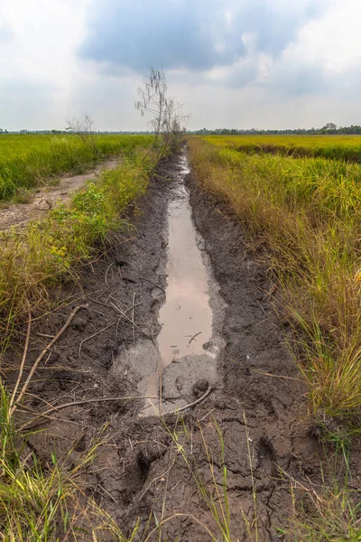  Kanal pirinç paddies pompa