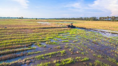 Çiftçi kullanım traktör zemin hazırlamak