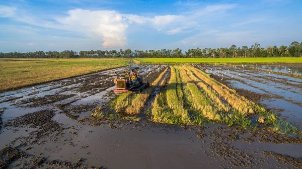 Agriculteur utiliser tracteur préparer le terrain — Photo