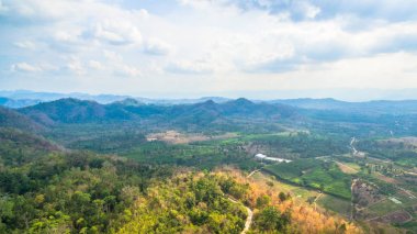 küçük toprak yolun ormanın içinde