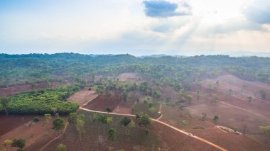 küçük toprak yolun ormanın içinde