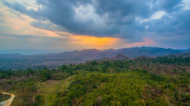 küçük toprak yolun ormanın içinde