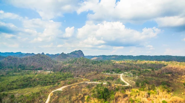 Pequena estrada de terra dentro da floresta — Fotografia de Stock