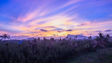 Prajuab Kirikhan güzel sabah